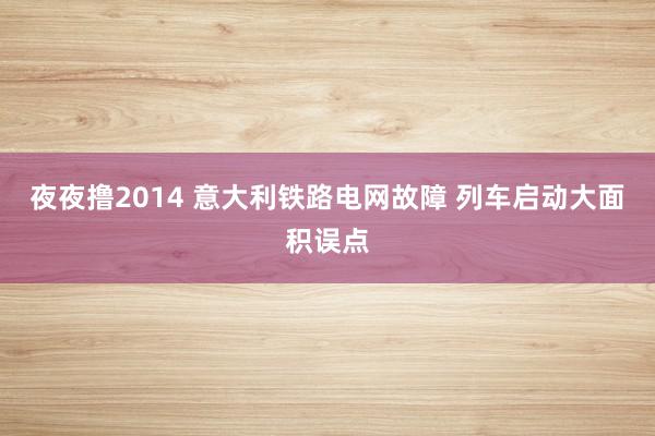 夜夜撸2014 意大利铁路电网故障 列车启动大面积误点