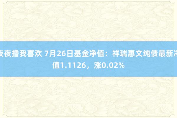 夜夜撸我喜欢 7月26日基金净值：祥瑞惠文纯债最新净值1.1126，涨0.02%