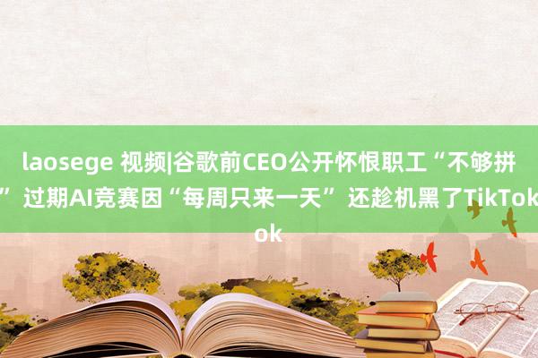 laosege 视频|谷歌前CEO公开怀恨职工“不够拼” 过期AI竞赛因“每周只来一天” 还趁机黑了TikTok