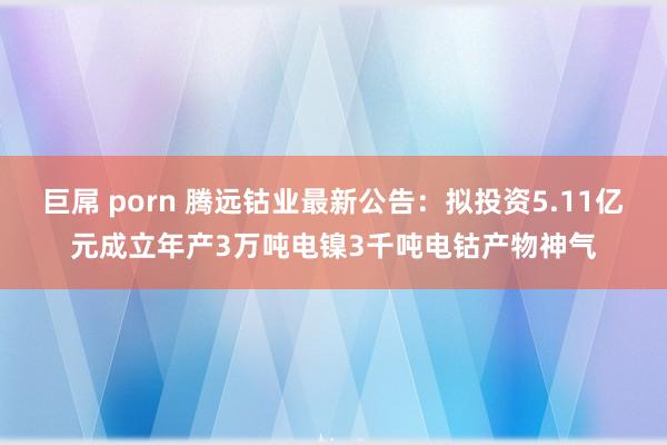 巨屌 porn 腾远钴业最新公告：拟投资5.11亿元成立年产3万吨电镍3千吨电钴产物神气