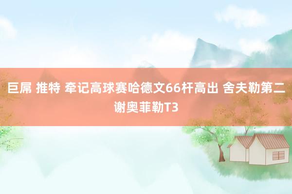 巨屌 推特 牵记高球赛哈德文66杆高出 舍夫勒第二谢奥菲勒T3