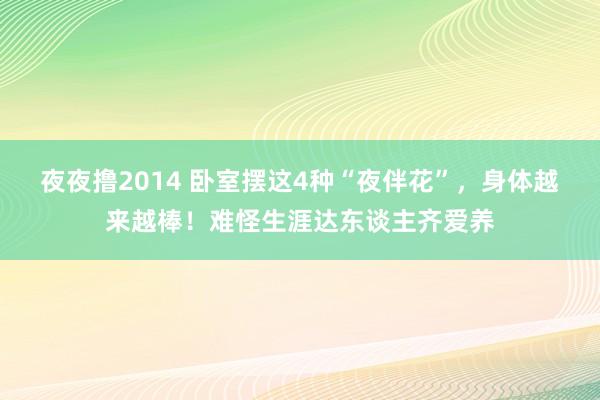 夜夜撸2014 卧室摆这4种“夜伴花”，身体越来越棒！难怪生涯达东谈主齐爱养
