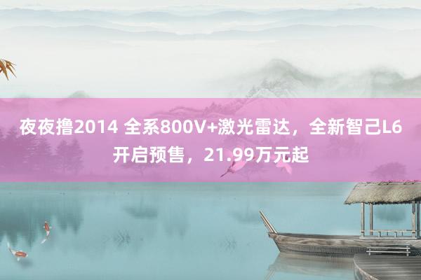 夜夜撸2014 全系800V+激光雷达，全新智己L6开启预售，21.99万元起