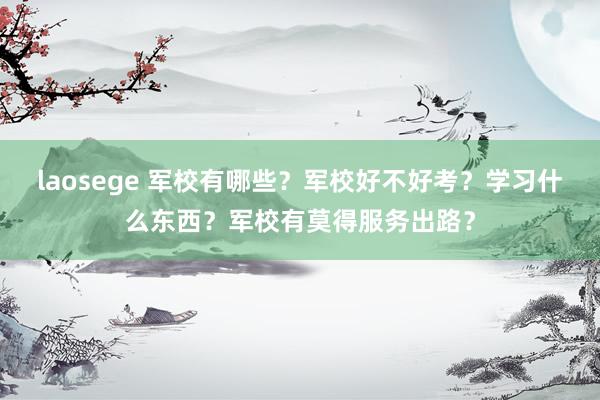 laosege 军校有哪些？军校好不好考？学习什么东西？军校有莫得服务出路？