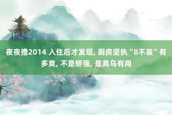 夜夜撸2014 入住后才发现, 厨房坚执“8不装”有多爽, 不是矫强, 是真乌有用