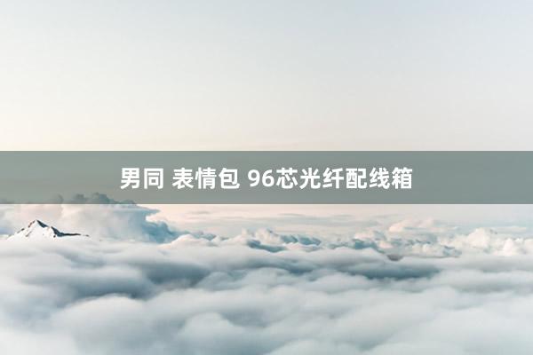男同 表情包 96芯光纤配线箱