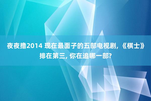 夜夜撸2014 现在最面子的五部电视剧, 《棋士》排在第三, 你在追哪一部?
